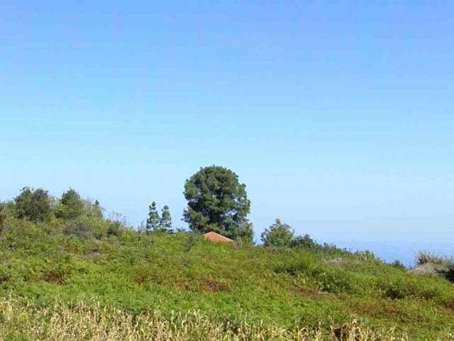 Terreno en venta en Icod de los Vinos, La Vega photo 0