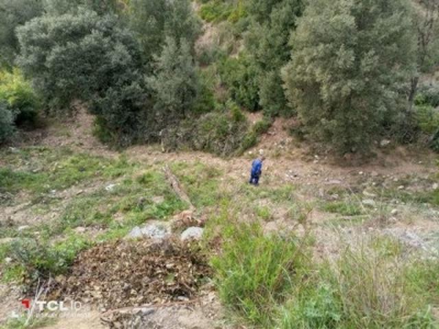 Terreno en venta en Torrelles de Llobregat, Torrelles De Llobregat photo 0