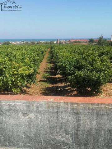 Chalet en venta en Alcanar, Les Cases D'Alcanar - Partida Marjal photo 0