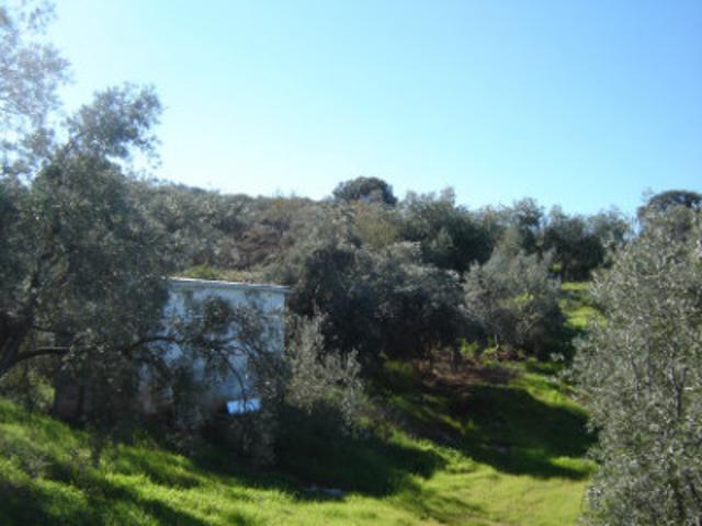 Nave industrial en venta en Archidona, Rustica photo 0