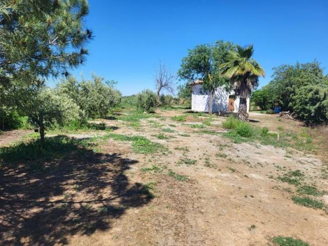 Chalet en venta en Granja de Torrehermosa, Granja De Torrehermosa photo 0