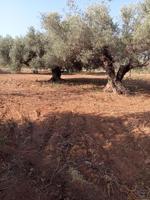 Chalet en venta en Sant Carles de la Ràpita, Nord photo 0