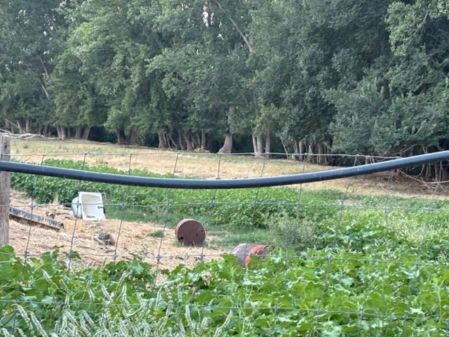 Terreno en venta en Santo Tomé, Santo Tome photo 0