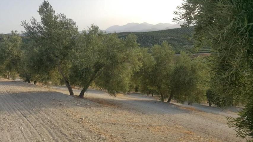 Chalet en venta en Quesada, Rustica - Sotana photo 0