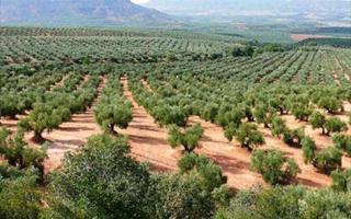 Chalet en venta en Begíjar, Begijar photo 0