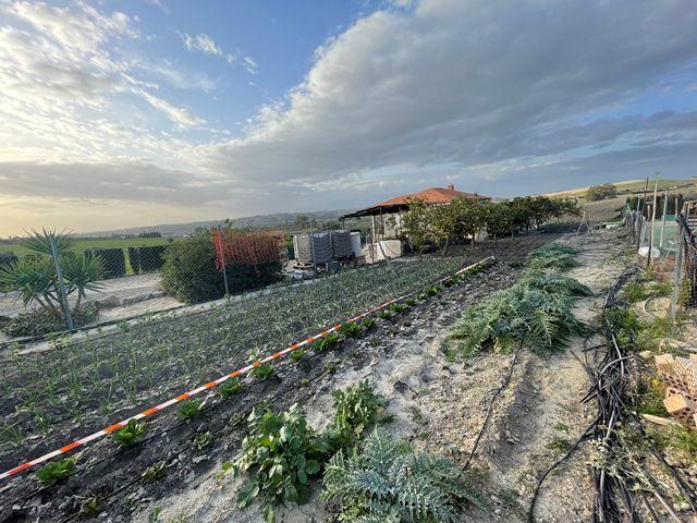 Terreno en venta en Arcos de la Frontera, Arcos De La Frontera photo 0