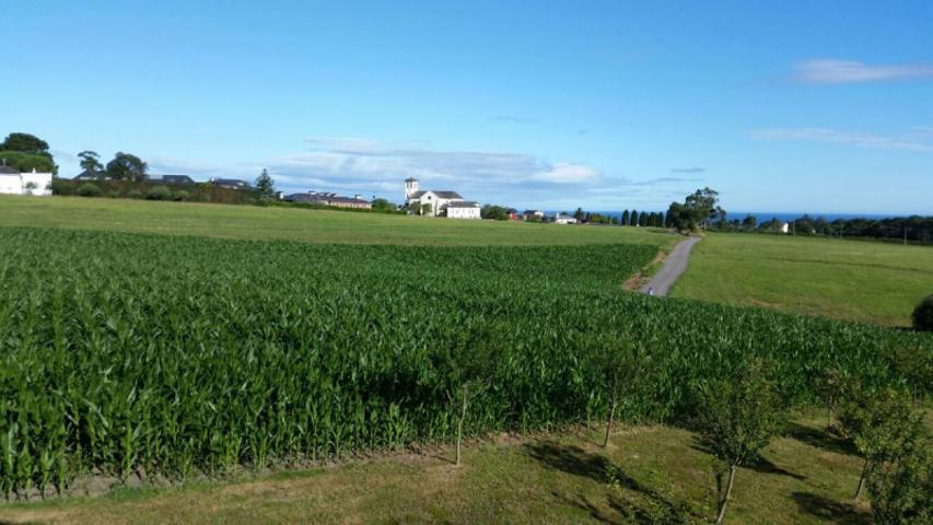Chalet en venta en Coaña, Cartavio photo 0