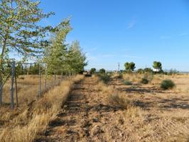 Terreno en venta en Carrión de Calatrava, Carrion de calatrava photo 0