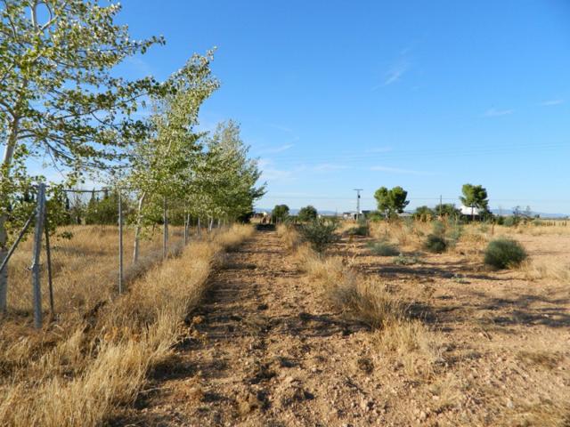 Terreno en venta en Carrión de Calatrava, Carrion de calatrava photo 0