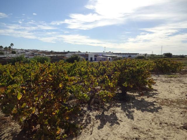 Terreno en venta en Rociana del Condado, Rociana Del Condado photo 0