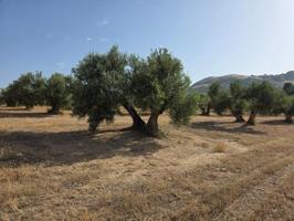 Chalet en venta en Baeza, Bedmar Y Garciez photo 0