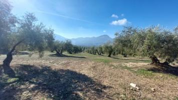 Chalet en venta en Quesada, Rustica - Brunel photo 0