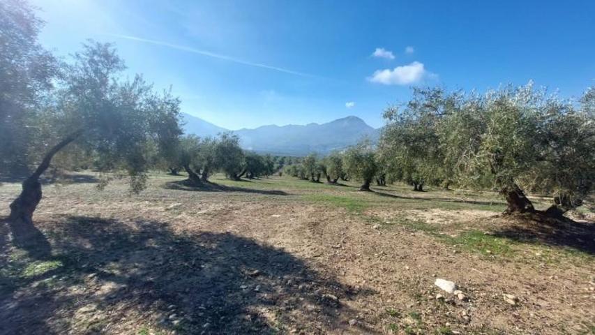 Chalet en venta en Quesada, Rustica - Brunel photo 0