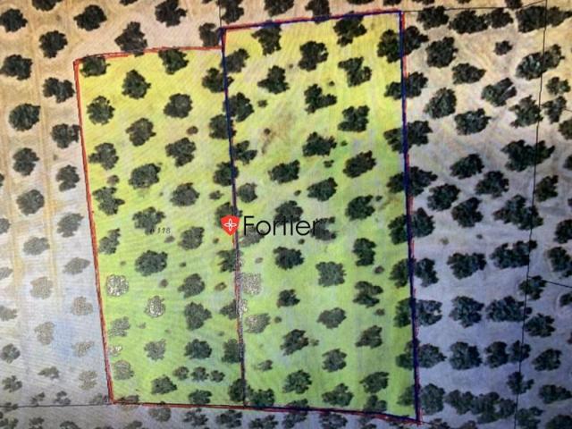 Chalet en venta en Martos, Martos photo 0