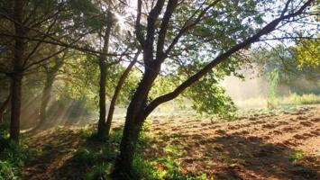 Terreno en venta en Bueu, Beluso photo 0