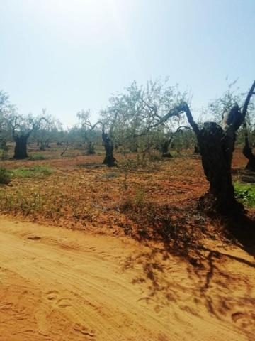 Chalet en venta en Sanlúcar la Mayor, Ferrocarril photo 0