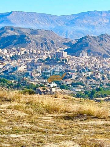 Chalet en venta en Abarán, Parajes photo 0