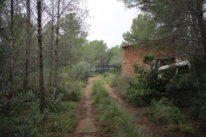 Terreno en venta en Mont-roig del Camp, Mont-roig del Camp photo 0
