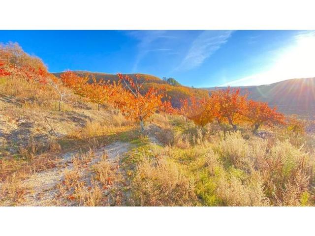 Chalet en venta en Barrado photo 0