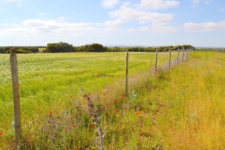 Chalet en venta en San Carlos del Valle, San Carlos Del Valle photo 0