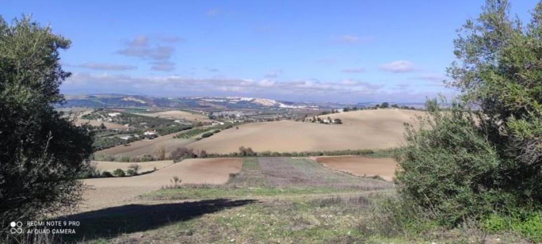 Chalet en venta en Arcos de la Frontera, Arcos De La Frontera photo 0