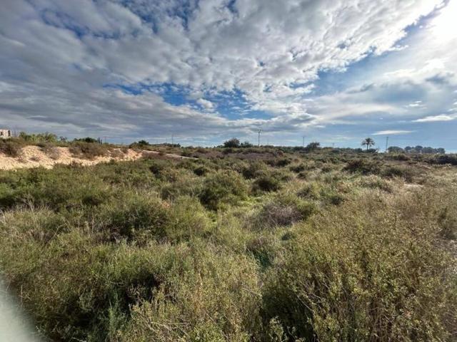 Chalet en venta en Crevillent, Partida Amoros photo 0