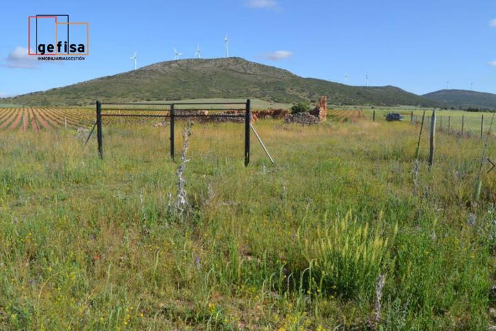 Terreno en venta en Valdepeñas, Banos del Peral photo 0