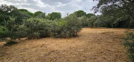 Terreno en venta en Casar, El Casar photo 0