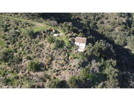 Chalet en venta en Sayalonga photo 0