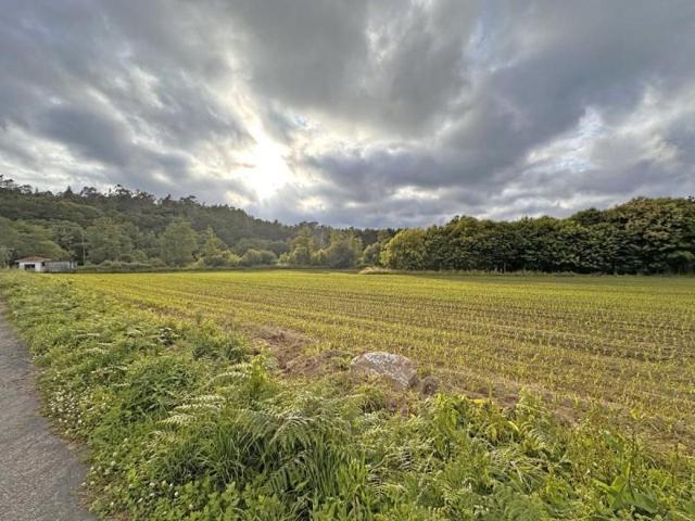 Terreno en venta en Negreira, Negreira photo 0