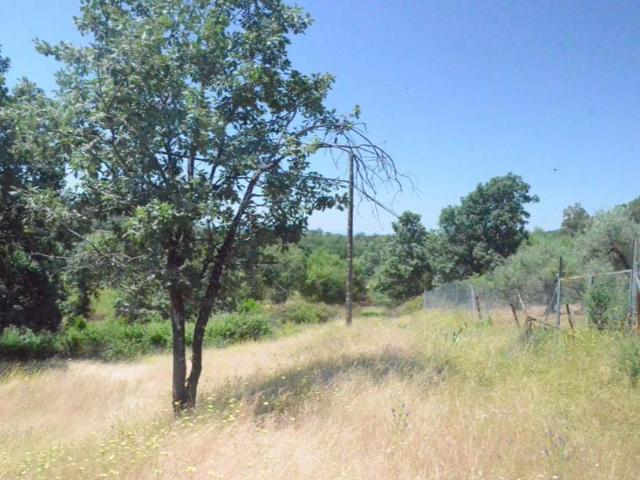 Chalet en venta en Madrigal de la Vera photo 0