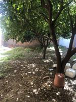 Terreno en venta en Almonte, Almonte photo 0