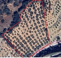 Chalet en venta en Archidona, Archidona photo 0