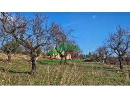 Chalet en venta en Marçà photo 0