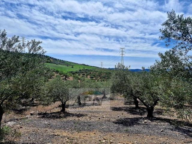 Terreno en venta en Alora photo 0