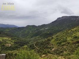 Chalet en venta en Benadalid photo 0