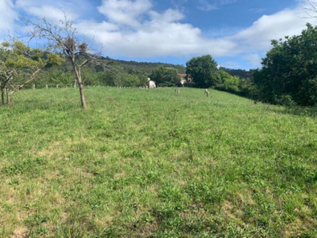 Terreno en venta en Gijón, Periferia - Caldones photo 0