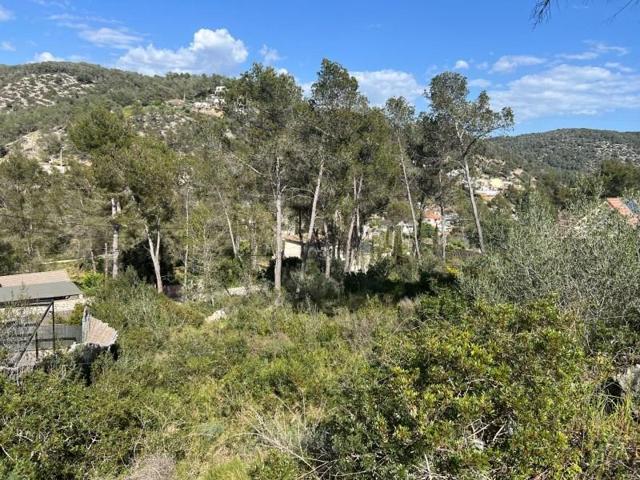 Terreno en venta en Olivella photo 0