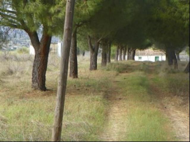 Chalet en venta en Almorox, Almorox photo 0