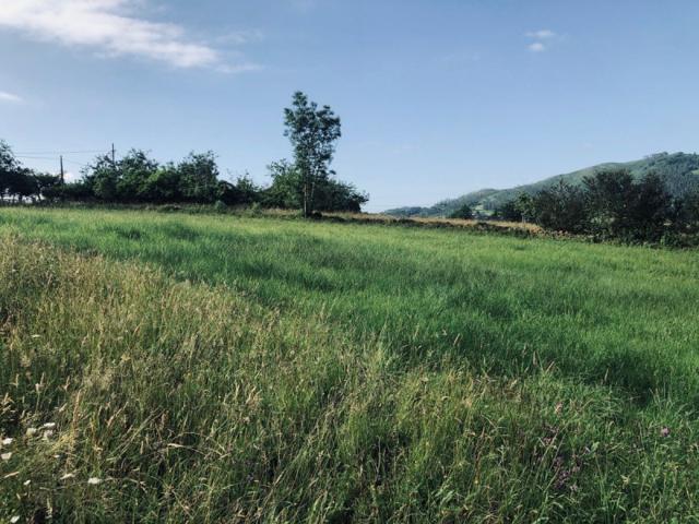 Chalet en venta en Oviedo, San Claudio photo 0