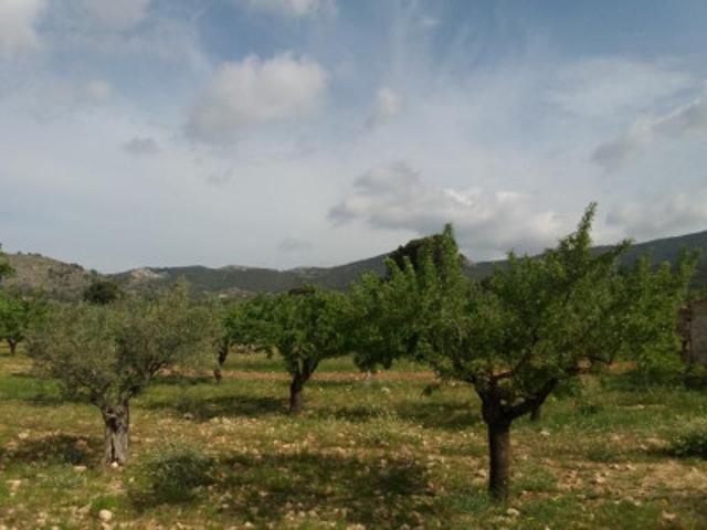 Terreno en venta en Castalla, Castalla photo 0