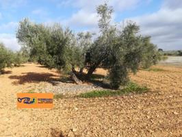 Chalet en venta en Valdepeñas, Carretera de Cozar photo 0