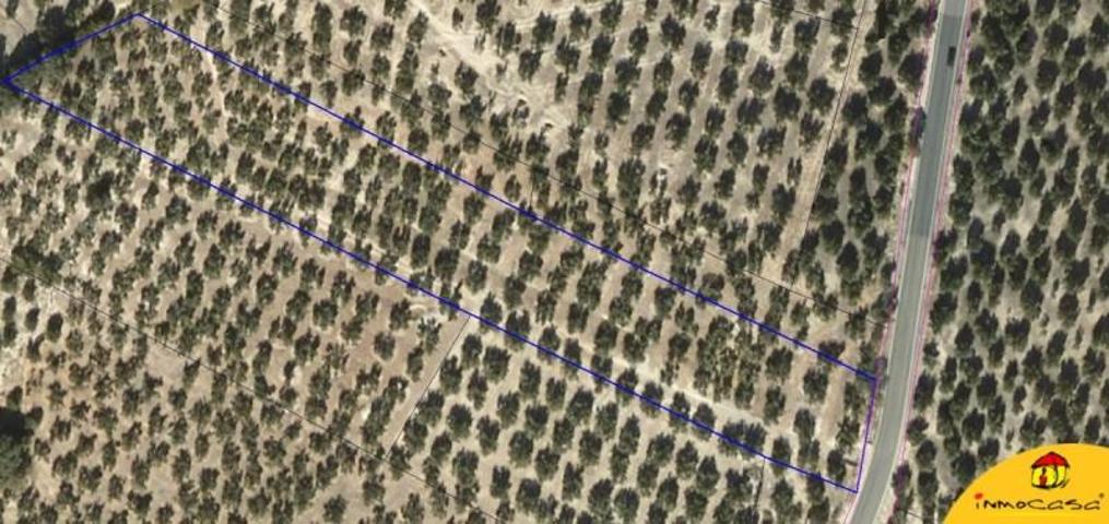 Chalet en venta en Alcalá la Real, Alcala La Real photo 0