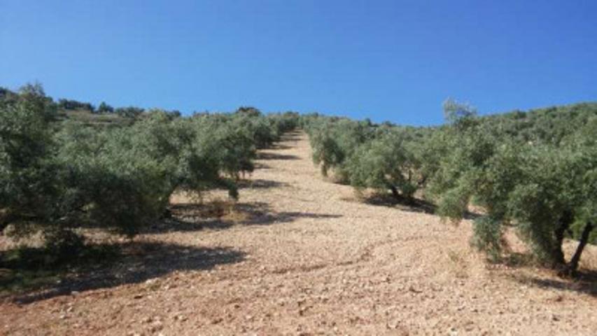 Chalet en venta en Archidona, Estacion De Archidona photo 0