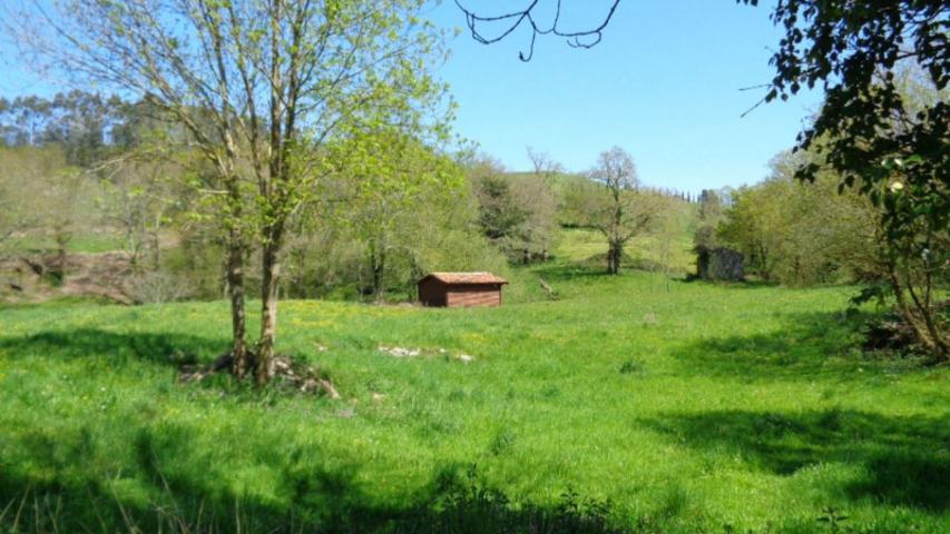 Casa en venta en Solórzano, Solorzano photo 0