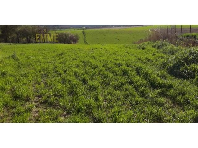 Chalet en venta en Ronda photo 0