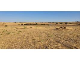 Terreno en venta en Añora photo 0