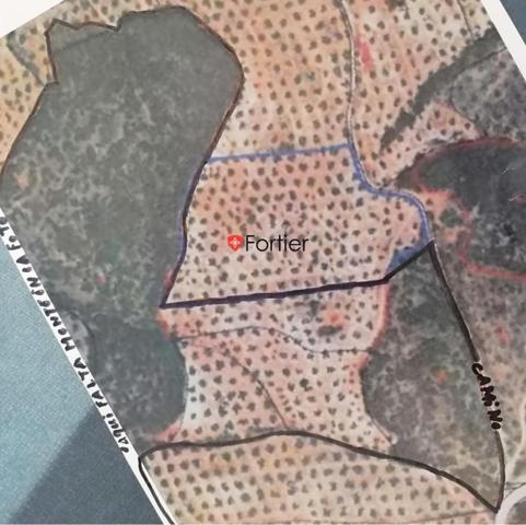 Chalet en venta en Martos, Martos photo 0