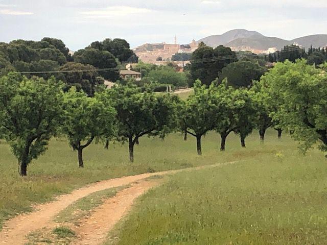 Chalet en venta en Hellín, Hellin photo 0