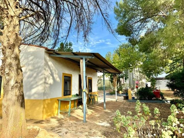 Chalet en venta en Valdepeñas, Carretera Santa Cruz photo 0